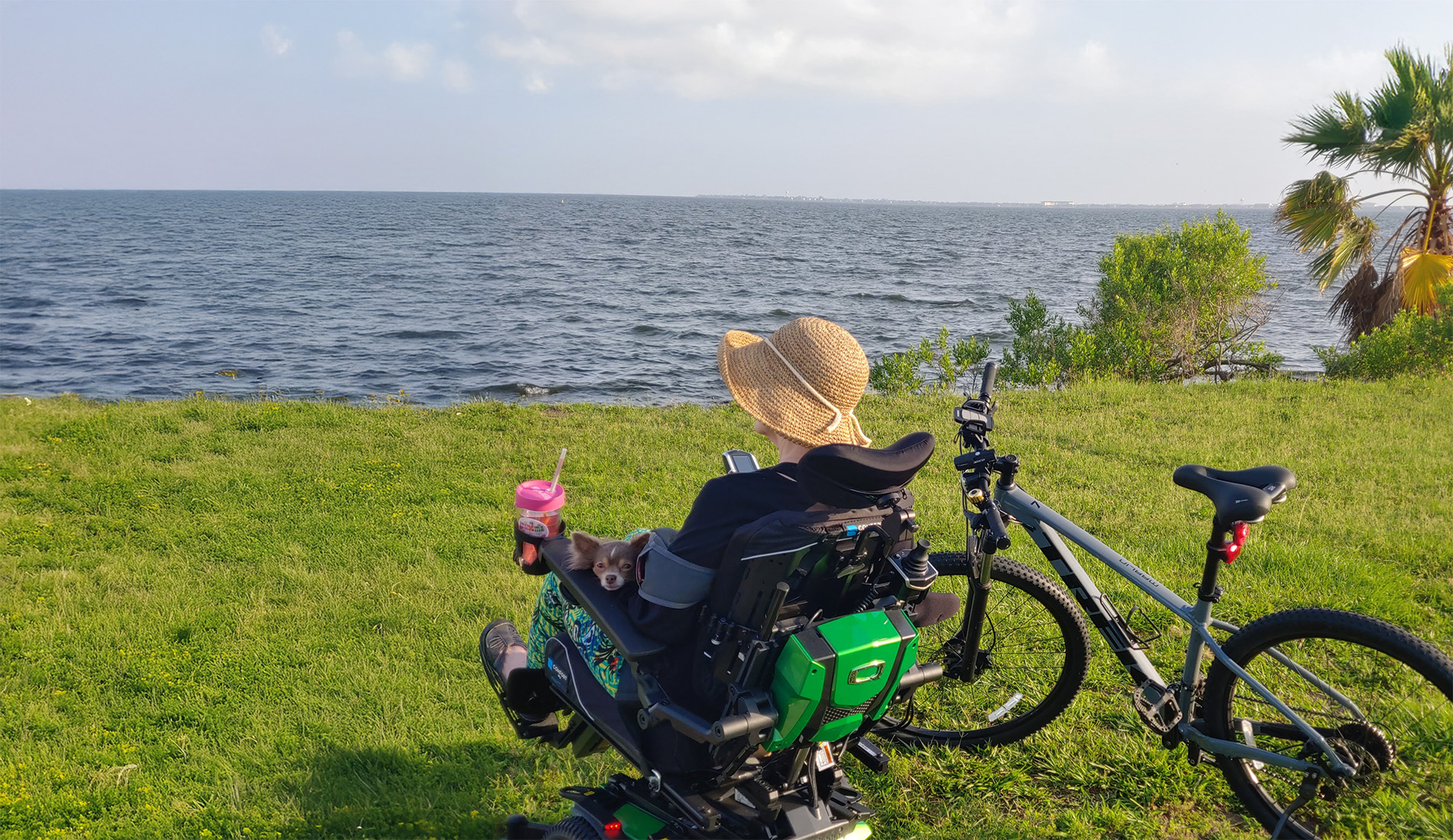 Life with LEMS: Encouraging Your Partners to Keep Moving